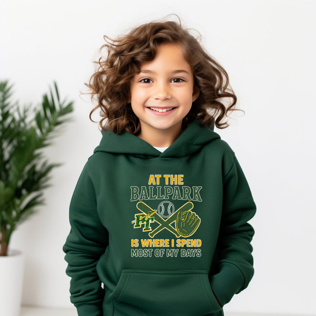 At the Ballpark - Youth Hoodie