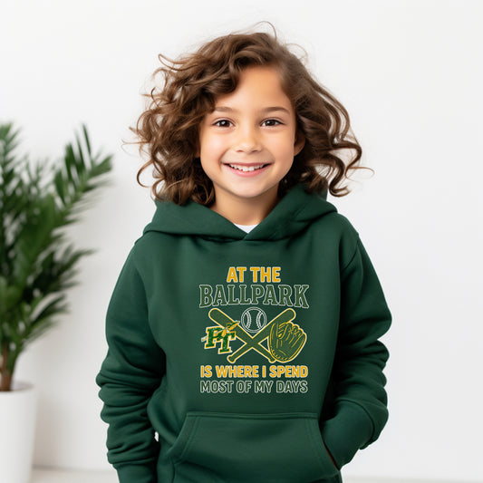 At the Ballpark - Youth Hoodie