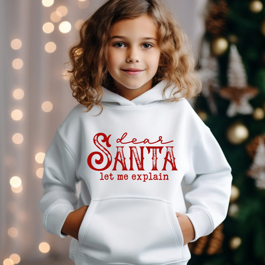 Dear Santa Let Me Explain - Youth Hoodie