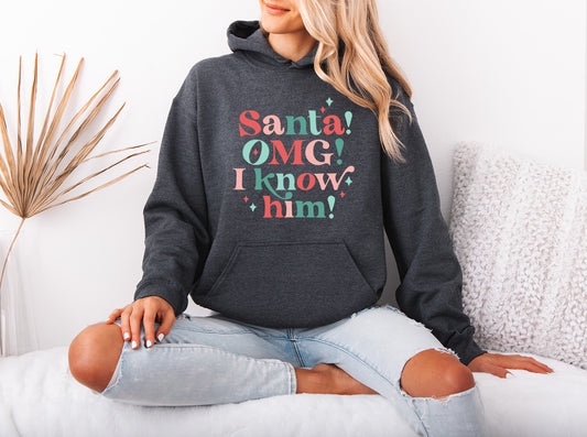 Santa! OMG! - Adult Hoodie